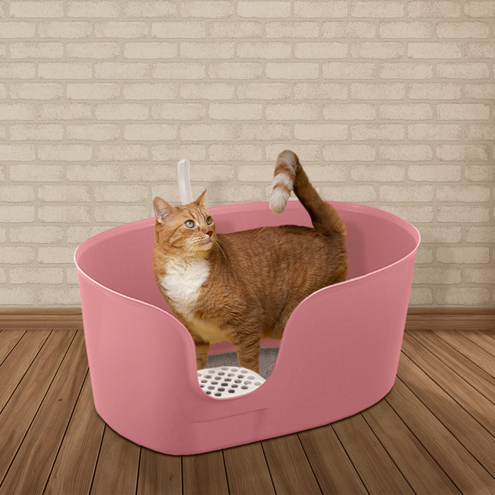Richell Paw Trax High Wall Cat Litter Box Xl & Reviews Wayfair